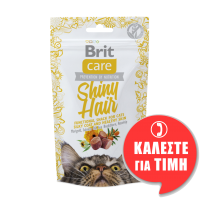 BRIT CARE FUNCTIONAL SHINY HAIR 50gr